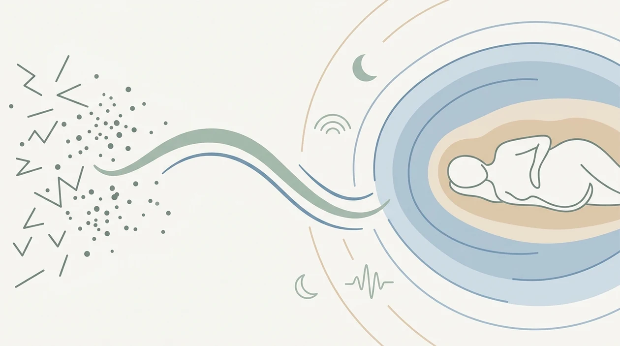 pregnancy meditation nervous system nervous system cortisol sleep